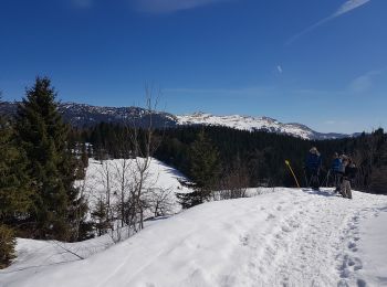 Randonnée Raquettes à neige Bellecombe - De La Guienette vers Le Crêt du Merle - Photo