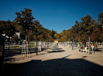 Tocht Te voet Gemeinde Baden - Baden Kurpark - Gaaden - Photo
