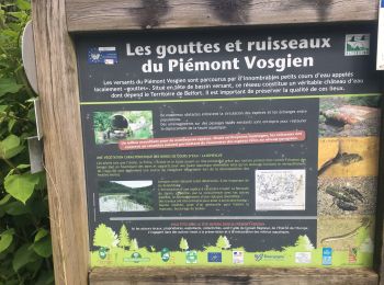Trail Walking Rougemont-le-Château - Rougemont-le-chateau - Photo