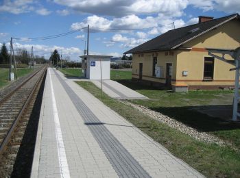 Randonnée A pied Straß in Steiermark - Fähren Weg - Photo