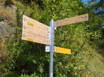 Tour Wandern La Thuile - Étape 4 - Refuge Deffeyes - Planaval - Photo
