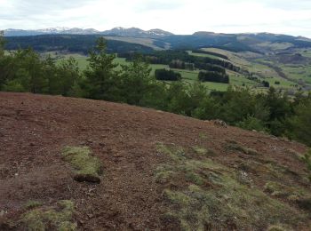 Excursión Senderismo Saulzet-le-Froid - Puy de Montenard - Photo