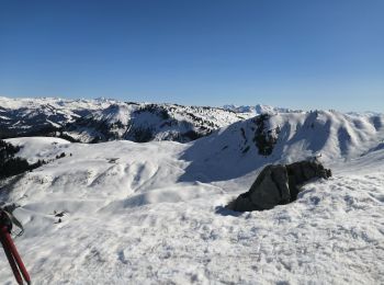 Tour Schneeschuhwandern La Giettaz - traversée par la croix et crêtes des frètes  - Photo