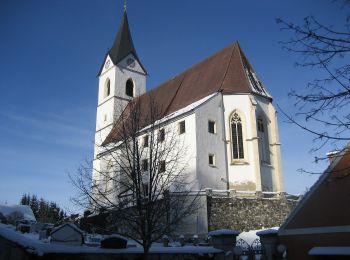 Tour Zu Fuß Lassing - Blosenweg - Photo