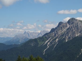 Tour Zu Fuß Olang - IT-2 - Photo