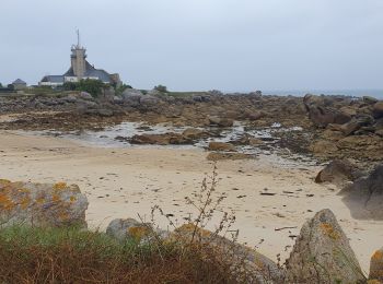 Tour Wandern Plounéour-Brignogan-Plages - 22 Août 2024 - dolmen du Dievet vers le phare de Pontusval - Photo