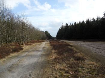 Trail On foot Kropp - Wanderroute 14: Ochsenweg - Sorgwohlder Binnendünen - Photo