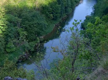 Randonnée Marche Massegros Causses Gorges - Au long du Tarn : Des Vignes à Mostuéjouls - Photo