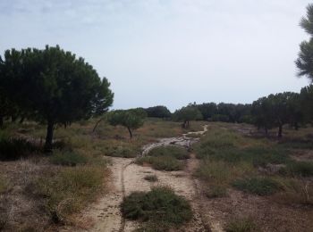 Excursión Bici de montaña Torreilles - Les Dunes Juhègues - Photo