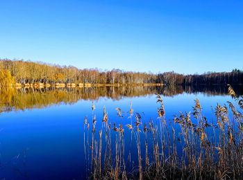 Excursión Senderismo Fère-en-Tardenois - Fere en Tardenois Parc des Bruyères - Photo