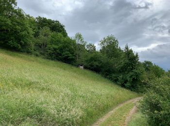 Trail On foot Mechernich - EifelSpur Wasser für Köln - Photo