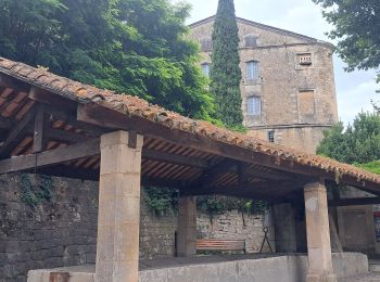 Tocht Stappen Ménerbes - menerbes - Photo