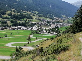 Tocht Stappen Val-Cenis - Lans le villard - les grattais 2021 - Photo