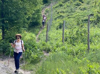 Trail Nordic walking Coye-la-Forêt - Marche sportive Coye - Photo