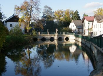 Tocht Te voet Gemeinde Litschau - AT-16 - Photo