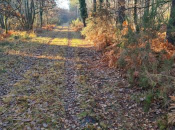 Trail Nordic walking Cestas -  Reco Pinoche 22/12/2021 - Photo