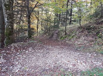 Trail Walking Engins - boucle Molière par le pas de la Loze - Photo
