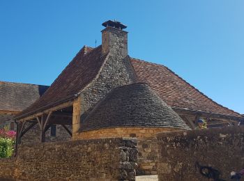Tour Elektrofahrrad Castels et Bézenac - Dordogne- GCU Jour 3 - St Cyrien, Autrix, les Eyzies - Photo