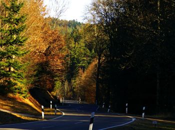 Tocht Te voet Simmersfeld - Ettmannsweiler Marktgasse-Beurener Berg - Photo