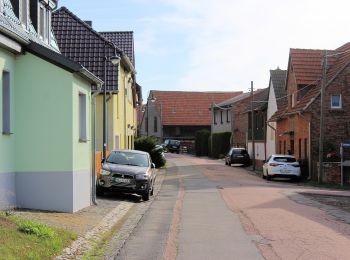 Tour Zu Fuß Sangerhausen - Roter Balken - Photo