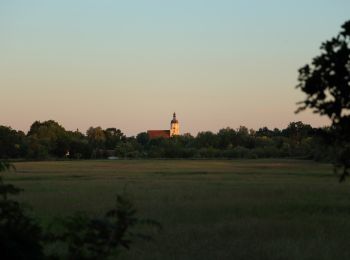 Tocht Te voet Lübben (Spreewald) - Wanderweg Lübben-Schönwalde - Photo