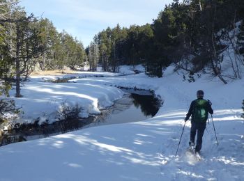 Trail Snowshoes Les Angles - 2021-02-11 Sortie CAF - Les Angles - vers les Camporells - Photo