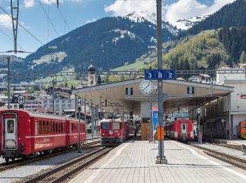 Tocht Te voet Disentis/Mustér - Disla-Punt Russein - Photo