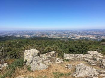 Randonnée V.T.T. Sorèze - VTT Sorèze 1 - Photo