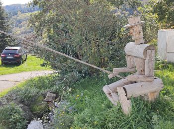 Tocht Stappen Essertines-en-Châtelneuf - Essertines en Châtelneuf - Photo