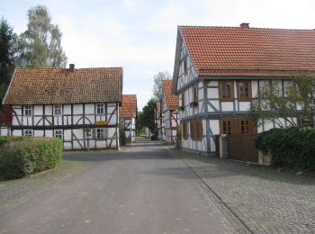 Tour Zu Fuß Wanfried - Premium-Rundwanderweg P12 Mainzer Köpfe - Photo