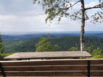 Tocht Stappen Dabo - col de la schlief - Photo