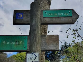 Trail Walking Queyrières - Sous le Mounier - Photo