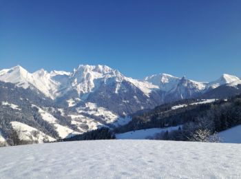 Percorso Racchette da neve Manigod - RIONDAZ » ORCIERE - Photo