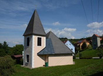 Tocht Te voet Ehrenhausen an der Weinstraße - Weinwanderweg Ratsch-Ottenberg - Photo