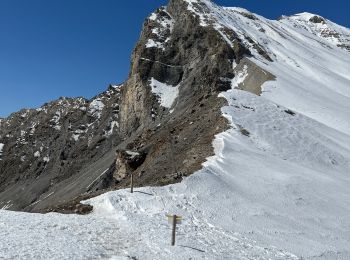 Randonnée Marche Péone - Col de Crous - Photo