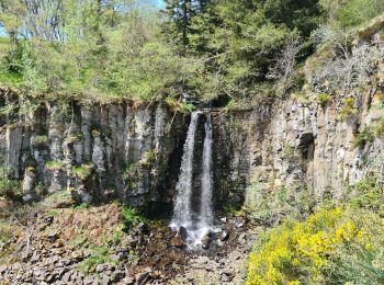 Excursión Senderismo Murat-le-Quaire - coux-puygros-guery-lac-cascade-mary-banne-tenon - Photo