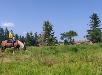 Trail Horseback riding Lutzelhouse - 2021-07-18 Journée Le petit Wisches Le Noll - Photo