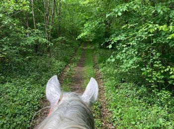 Trail Horseback riding Favières - Favieres 2024 samedi Yoigo Kaline - Photo