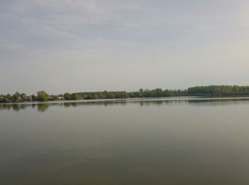 Tour Wandern Palluel - Étangs de Palluel et Arleux  - Photo