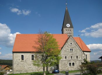 Randonnée A pied Mauth - Schnecke (Rundweg Finsterau) - Photo