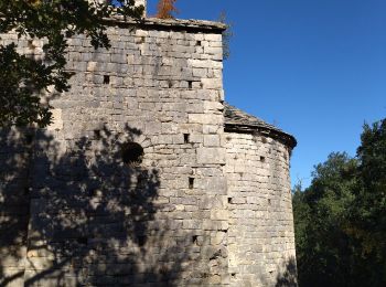 Tocht Stappen Laudun-l'Ardoise - 30 camp de cesar - Photo