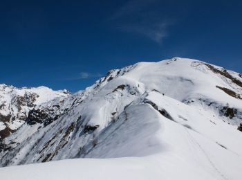 Trail On foot Vilminore di Scalve - IT-407 - Photo