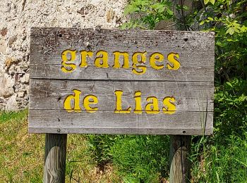 Tour Wandern Vignec - les granges de Lias - Photo