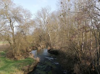 Excursión Senderismo Saint-Maurice-la-Clouère - Saint-Maurice-La-Clouère - Photo