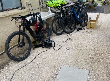 Tocht Elektrische fiets Loupiac - Hirondelles 2021 sports  - Photo