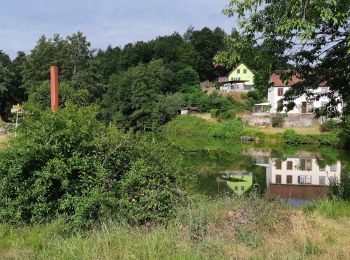 Tocht Wegfiets Rohrbach-lès-Bitche - EXT-70 Rohrbach les Bitche-01 - Photo