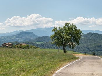 Randonnée A pied Canossa - Roncaglio - Iagarone - Ca' De' Curti - Solara - Cadrazzolo - Roncovetro - Vedriano - Pietranera - Photo