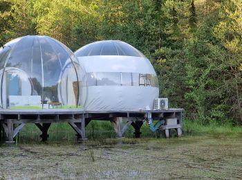 Randonnée Marche Brinon-sur-Sauldre - Balade dans le domaine des bulles de Sologne - Photo