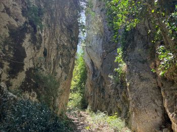 Randonnée Trail Cheval-Blanc - Campanette-Bedoin-L’Ubac-Vidauque(25K 720D+) - Photo