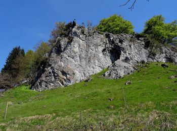 Randonnée A pied Inconnu - Belecke - Nuttlarer Höhe - Photo